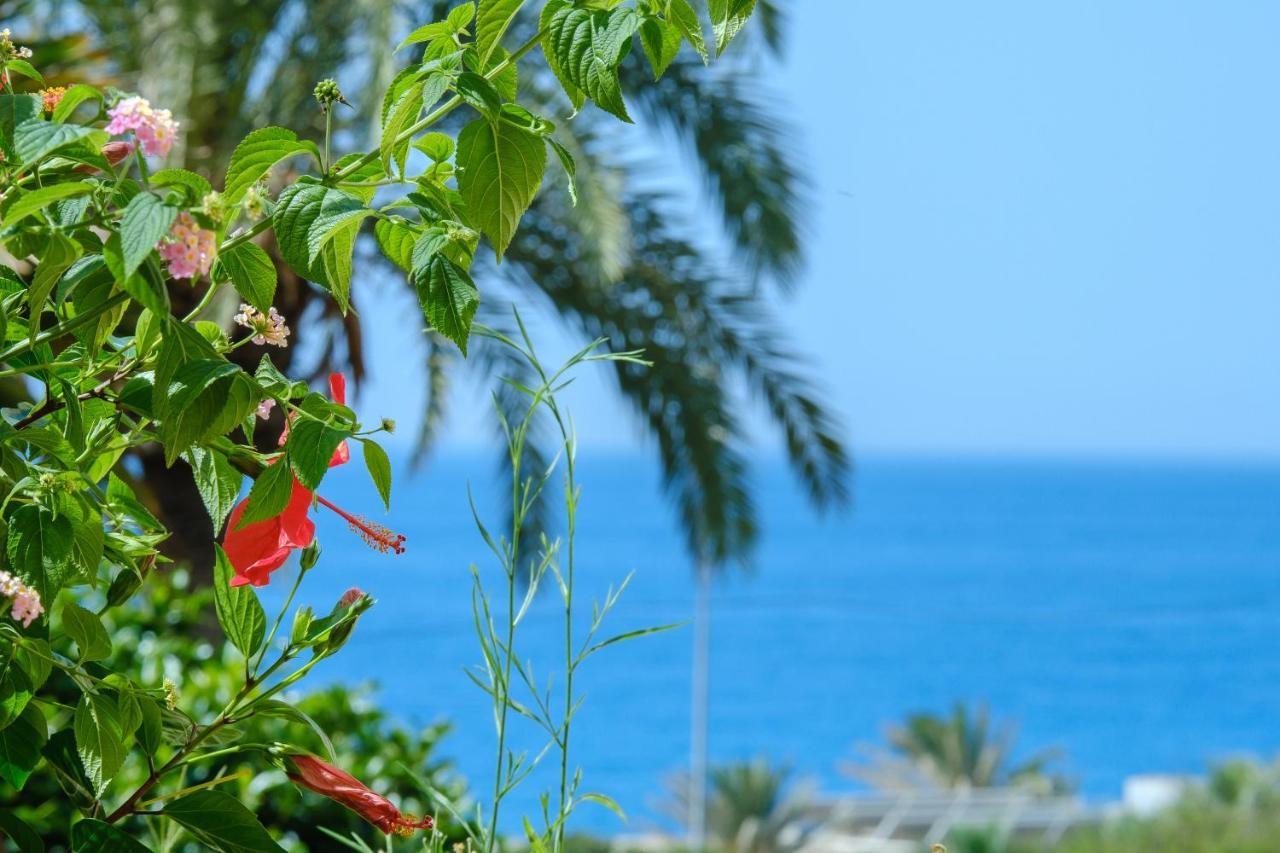 Beautiful Torreoceano 92, Pool, Beach Access La Cala De Mijas Εξωτερικό φωτογραφία